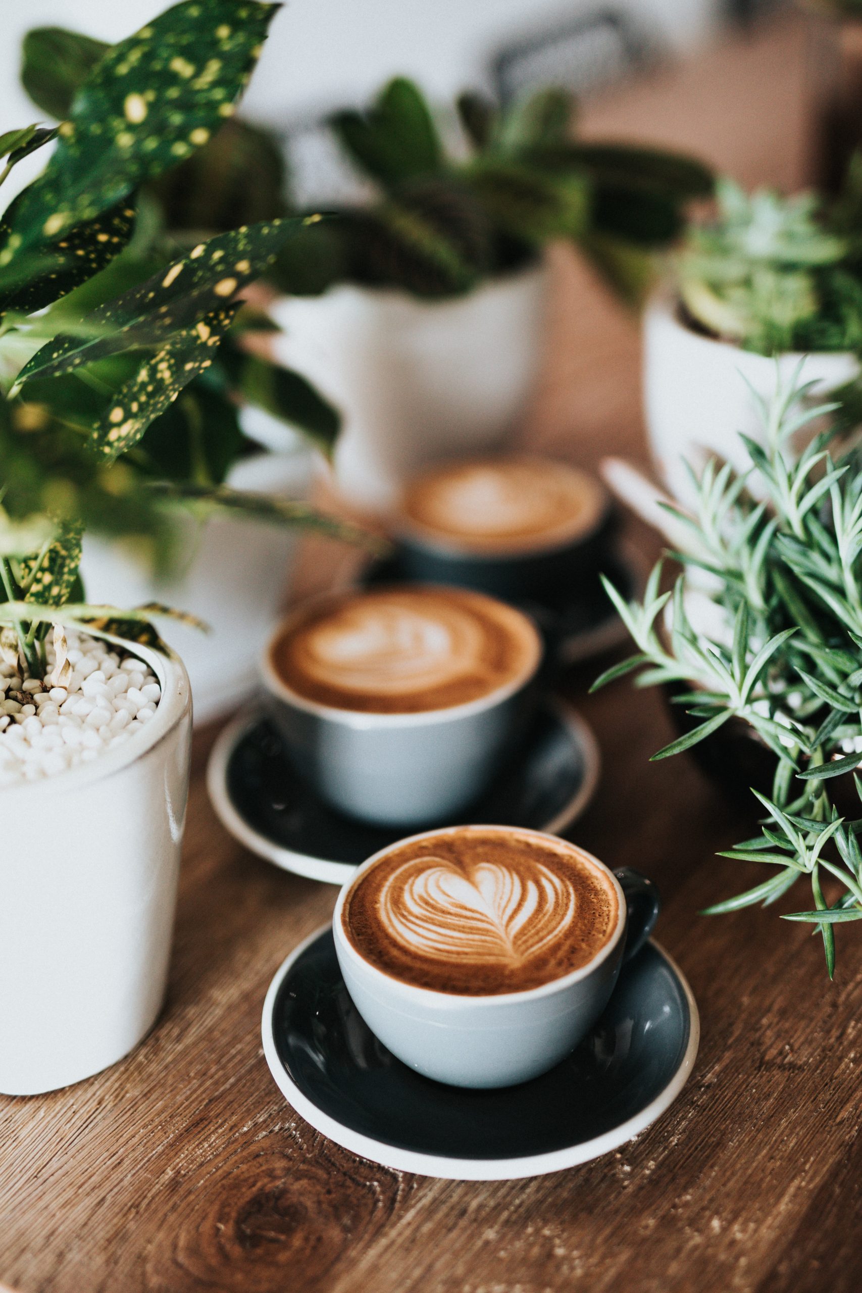 CLD Cafe: June 2023